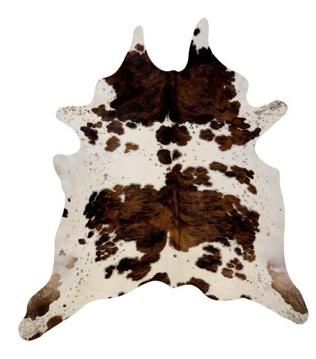 Ex&oacute;tico Tricolor