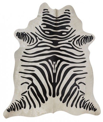 Zebra fundo Branco